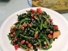 -新侨小馆(东直门北小街店)
