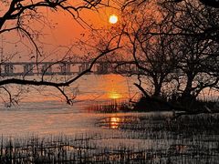 -宝安西湾红树林湿地公园