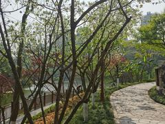-重庆彩云湖湿地公园