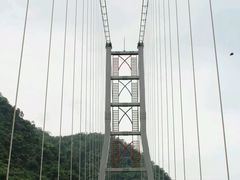 -阿里山邹族烤肉团队(山猪亮)