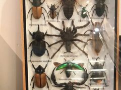 -植物学家的女儿(北马道巷店)