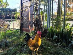 -木子山庄·安徽省老字号·中国炖锅宴