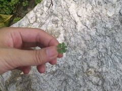 -白塘生态植物园