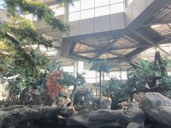 -鄂尔多斯野生动物园