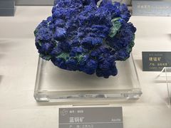 -中国地质博物馆
