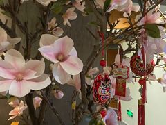 -新盈光·旗舰店(海曙苍松路店)