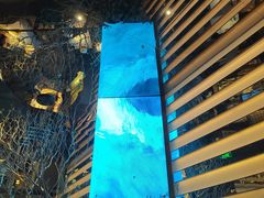 -桂满陇·海市蜃楼·黑金(国金店)