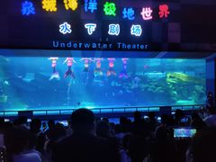 -泉城欧乐堡海洋极地世界