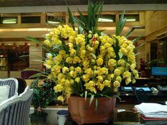 -黄埔华苑酒家(黄埔店)