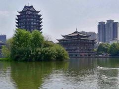 -眉山湿地公园(东坡区)