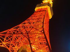 -东京塔海贼王主题公园