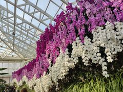 -石家庄市植物园