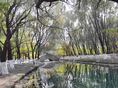 -长白岛森林公园