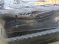 -三亚海韵度假酒店·渔人码头海鲜火锅BBQ自助餐厅·落日吧