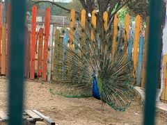 -云漫湖生态度假公园