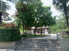 -莲湖公园