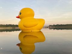 -深圳人才公园