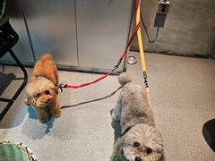 -E+有冰工厂·昆仑寒宫2(五角场店)