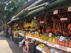 -南沙十九涌渔人码头-南门