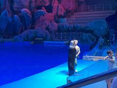 -芜湖新华联大白鲸海洋公园