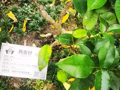 -广州神农草堂中医药博物馆