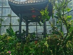 -东莞植物园