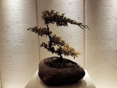 -大连金石滩绿发温泉假日酒店