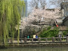 -运河游船(武林门码头)