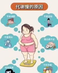 -丽减美瘦吧·减肥瘦身