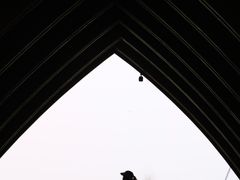 -中国天府农业博览园