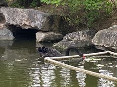 -石家庄市动物园