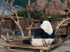-南宁市动物园