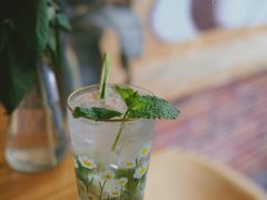 雏菊mojito-The Flowers Coffee(南山店)