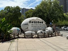 -陕西自然博物馆