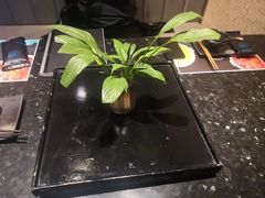 -王家渡火锅店(棕榈泉店)
