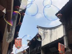 -真真老老(月河花鸟市场店)