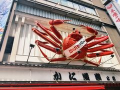 -蟹道乐(道顿堀本店)
