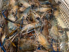 -一方渔歌蒸汽海鲜自助(文化路万达广场店)