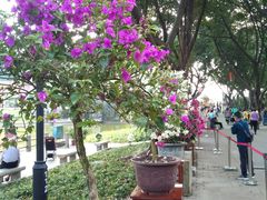 -广州雕塑公园