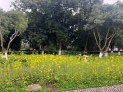 -张坝桂圆林公园