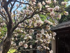 -Lamant Manor已闻花名关於蓝