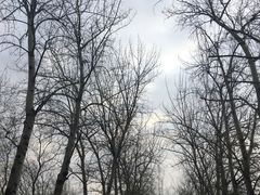 -北京外国语大学东院食堂