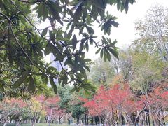 -后襄河公园