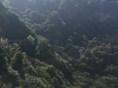 -少华山国家森林公园