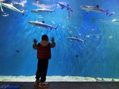 -华夏文旅海洋公园