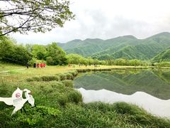 -大九湖