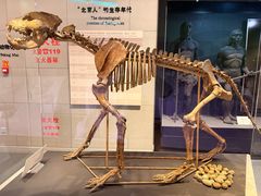 -北京周口店北京人遗址博物馆
