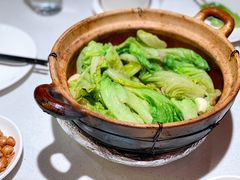 虾酱啫唐生菜-煲煲好(朝阳门店)