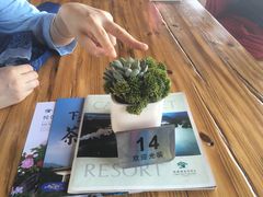 外面的植物-福建鲤鱼洲酒店