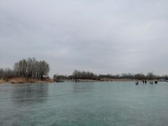 -马家湾湿地公园